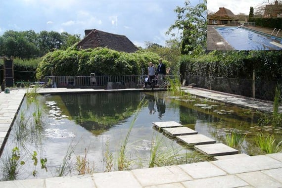 organic swimming pond garden build tile close to nature