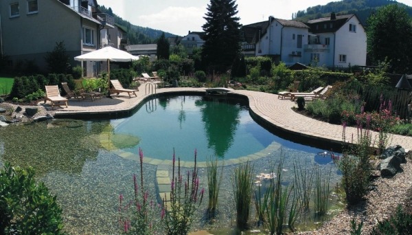 semi-natural swimming pond garden planting zone floating zone