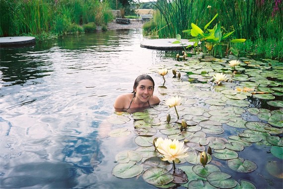 nature pool garden water lily water purification