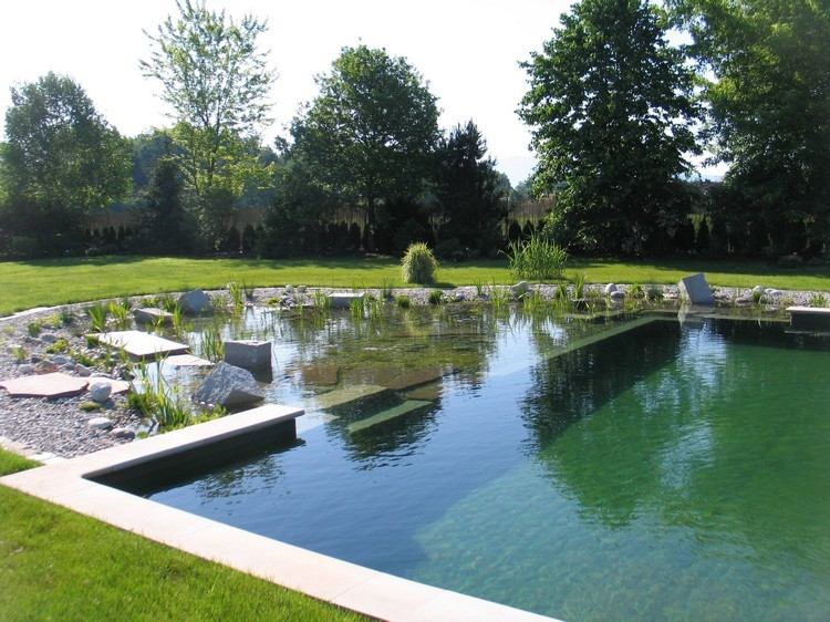  bio-pool-garden-natural pool 