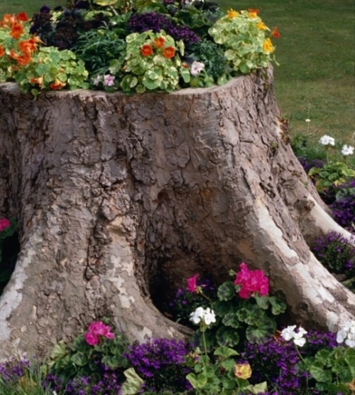 24 Dekoideen aus Baumstamm für Haus und Garten