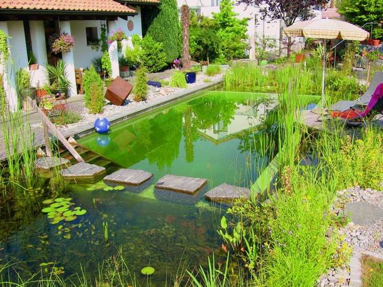  natural pool Garden Creating Green Water 