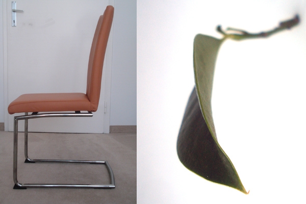 Cantilever leaf Inspiration Chair Design