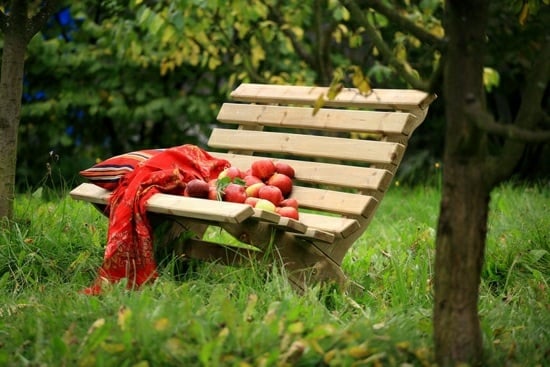 wooden bench Garden Fruit Tree
