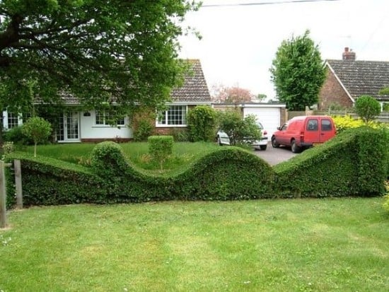  average hedge Ideas hedges bed enclosure 