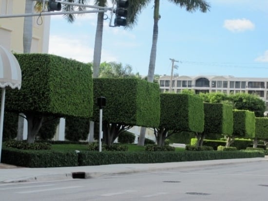  trapezoidal profile hedges screening Garden Design 