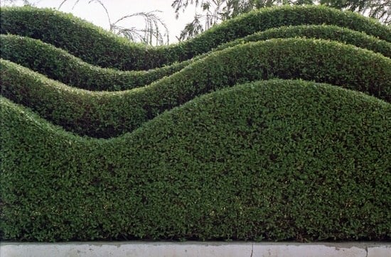 wave-shaped garden hedge-evergreen sectional profile
