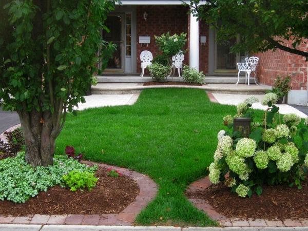  Examples garden design hydrangea lawn form 