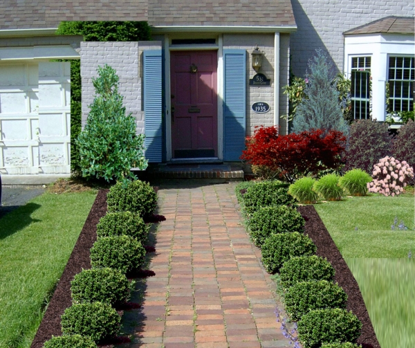 front yard design for low boxwood hedges shrubs