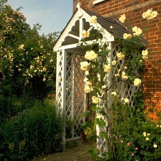  country house entrance yellow climbing rose trellises 