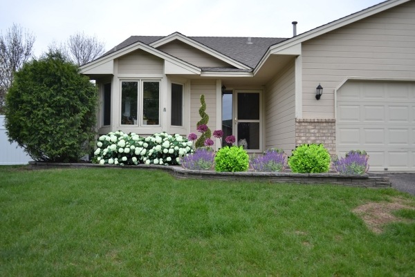 front yard planning examples white hydrangeas 