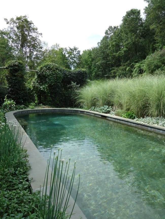 swimming pond make the garden eco-friendly design ideas