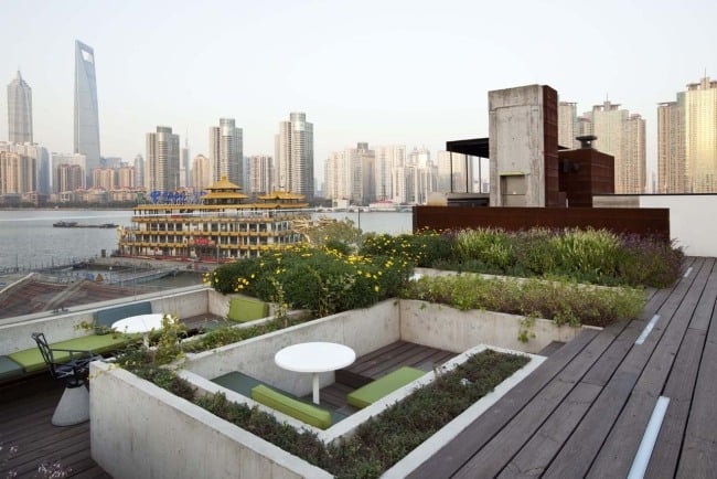 rooftop concrete define boundaries bushes