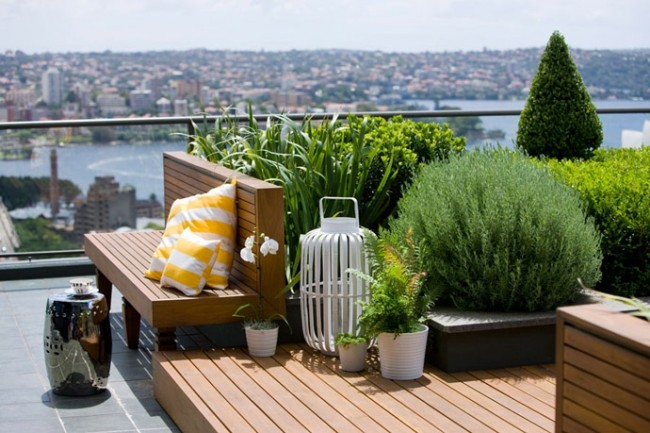 rooftop wooden bench Glass railing shrubs