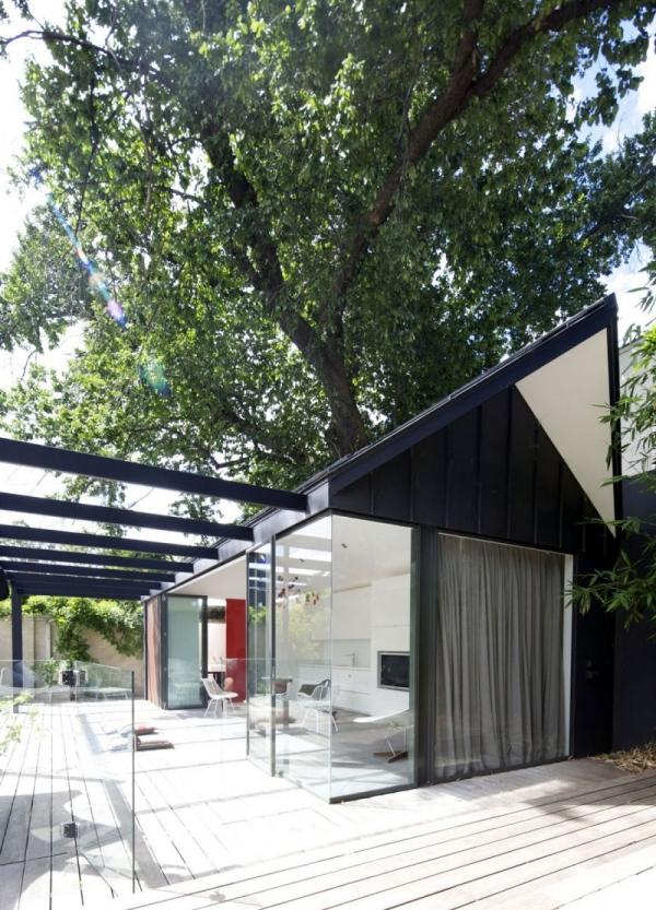 modern poolhouse silhouette elm tree glass walls