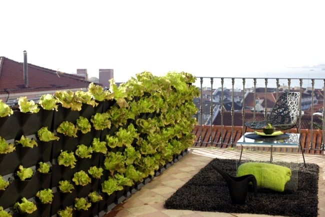 vertical garden rooftop terrace blinds combination