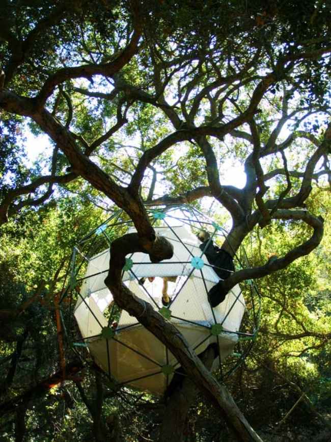 tree houses with trees-grown TreeVillage Spherical structure wood