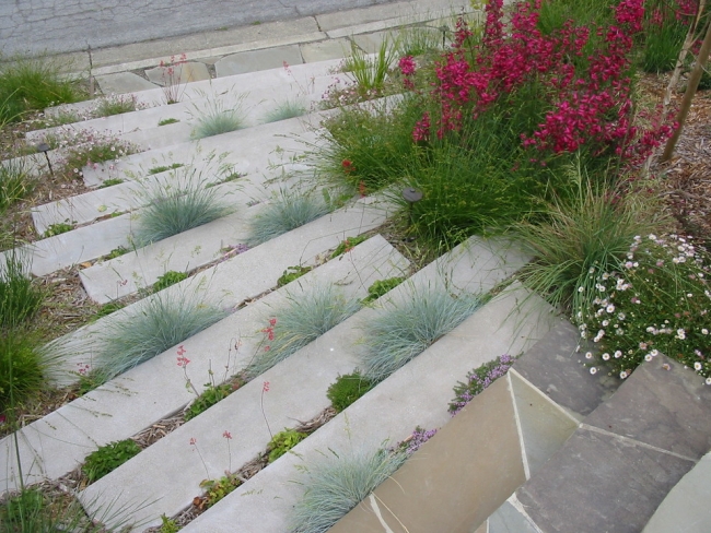 Blue chair-garden plants anbauen- ornamental grasses garden stairs design 