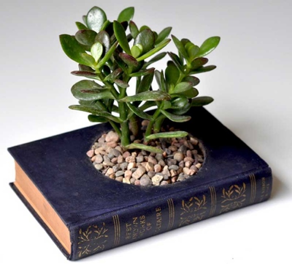 Flowerpots Bookbinding integrate gravel idea itself imitate