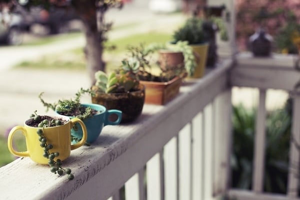 flower pots succulent coffee cups veranda ideas Selbermachen