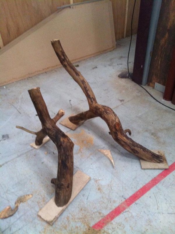 chair-legs substructure tree branches put together