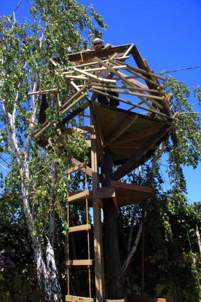 TreeTower stilt house-wooden ladder rope