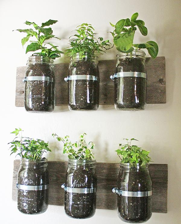 jam jars herb garden wall wooden slats attach