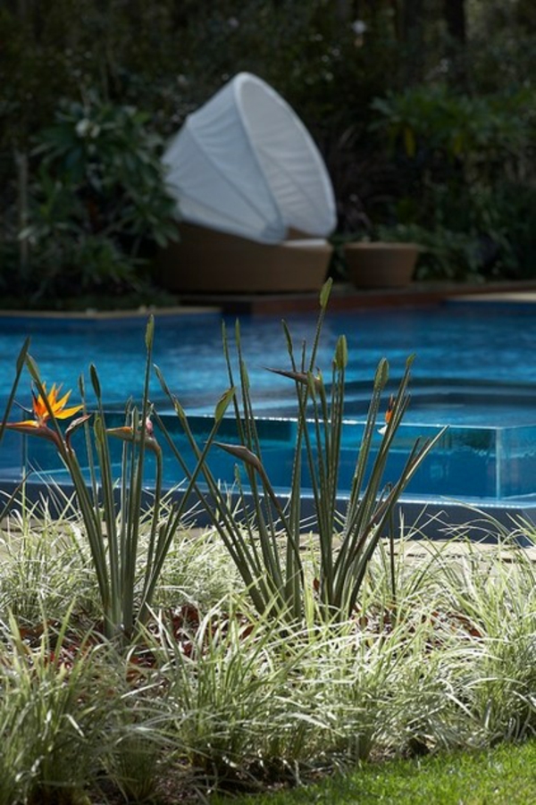 Pool mit Glaswand kreiert entspannte Atmosphäre im Garten