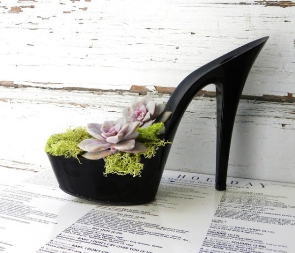 shoe high heels succulent moss arrangement