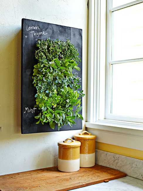 vertical planter Herb Flower Panel Paint Kitchen