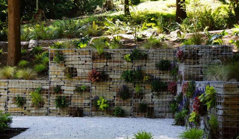 Gabion Fence itself-build-succulent-plant-Terrain Landscape