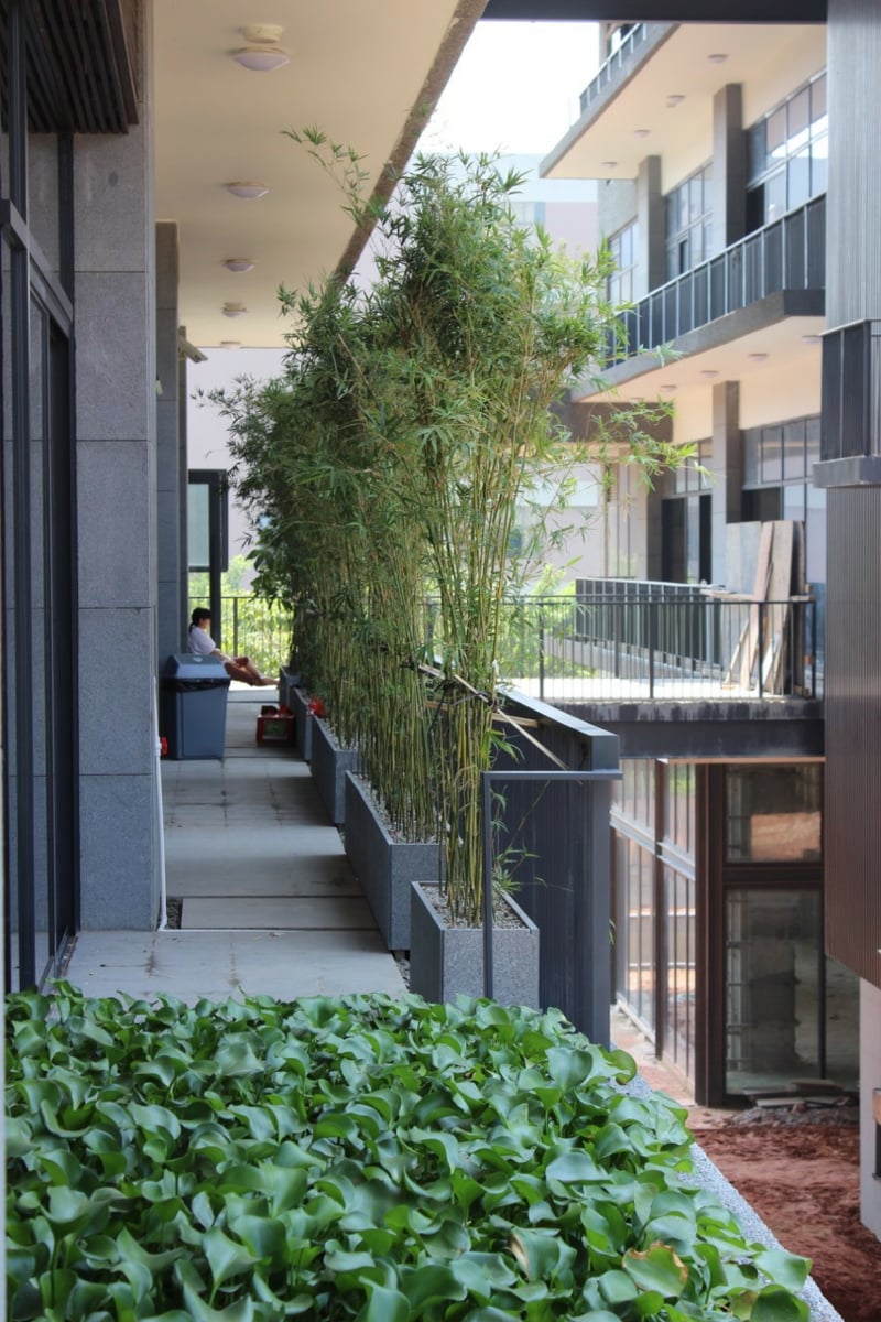 Bambus als Balkon-Sichtschutz - Ideen mit Pflanzen, Matten ...