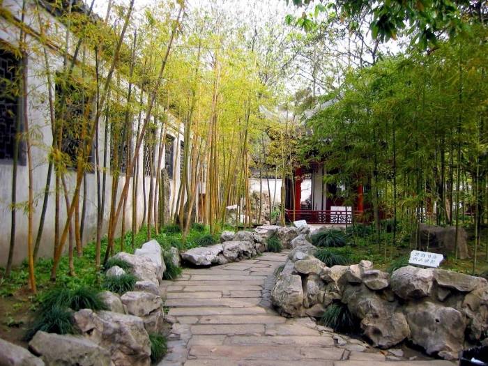 Bambus im Garten -faszinierend und vielseitig einsetzbar