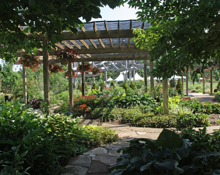 Garten mit Schatten Pflanzen Welche Arten eignen sich?