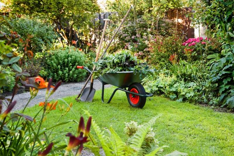 Unkraut-Garten-beseitigen-Tipps-Tricks