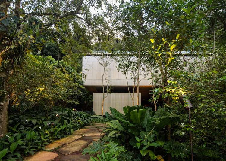 modernes-beton-haus-urwald-brasilien-pflanzen-architektur