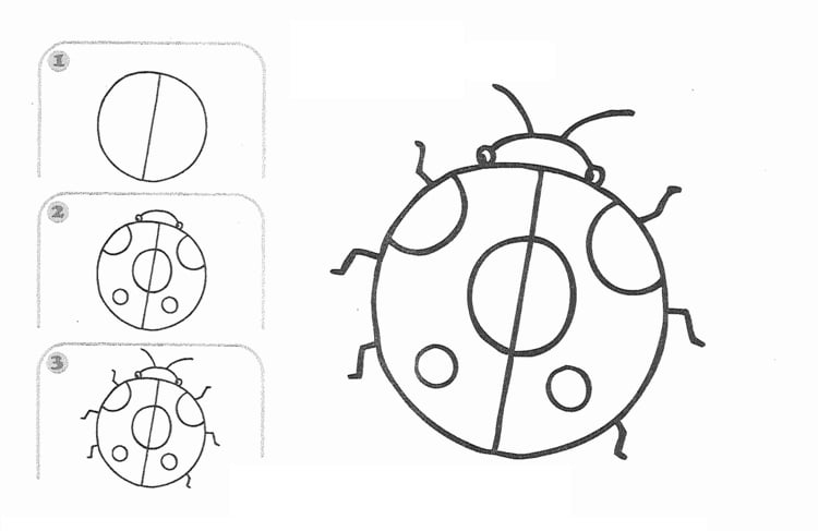 zeichnen lernen marienkaefer-insekt-anfaenger-kreis-punkte