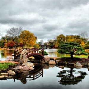 Perfekte Harmonie im Zen Garten