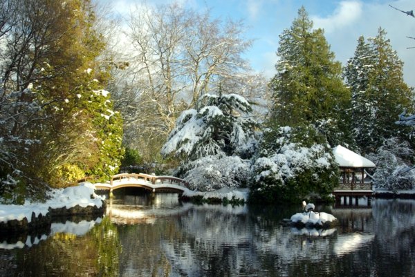 Japanischer- Zen-Garten im Winter