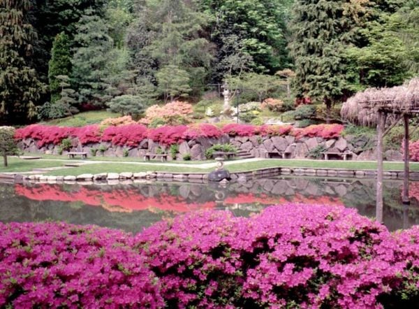 Gartengestaltung-japanischer-Stil