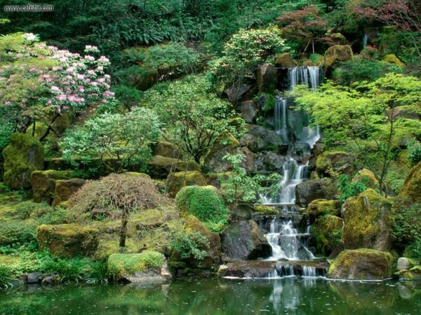 grüner-Garten-japanischer-Stil