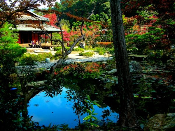 japanische-Gartengestaltung-Bassin