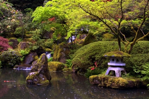 japanische-Gartengestaltung-Sträuche