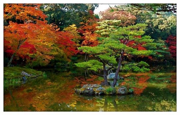 japanischer-Garten-moderne-Gartengestaltung