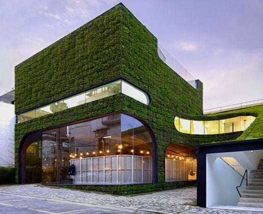 moderne-grüne-Architektur-nachhaltiges-Haus