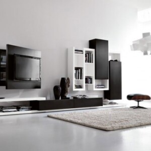 schwarz-weiße-Möbel-Wohnzimmer