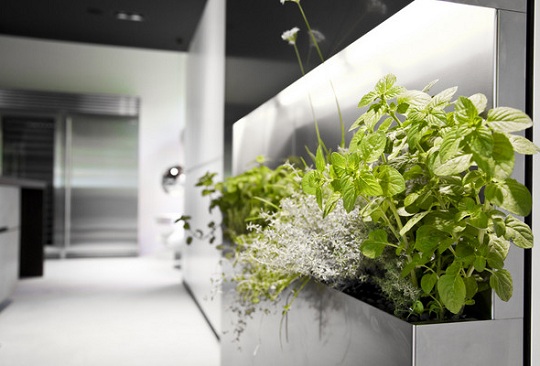 Pflanzen-Dekoration-moderne-Küche