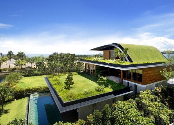 nachhaltiges-Energiesparhaus-bepflanztes-Dach