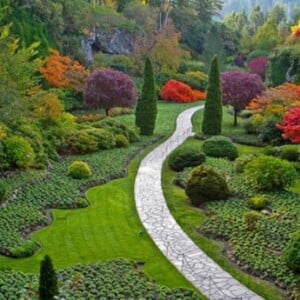 schöne-japanische-gartengestaltung-naturstein-weg