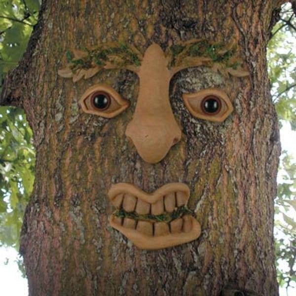 Grausame-Bäume-Gesichter-Halloween